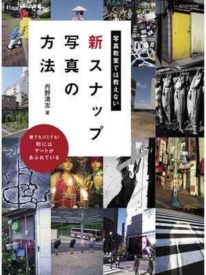 cover image of 写真教室では教えない新スナップ写真の方法